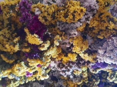 Radojevići od suvog cveća naprave na hiljade buketa, foto: M. Lazarević