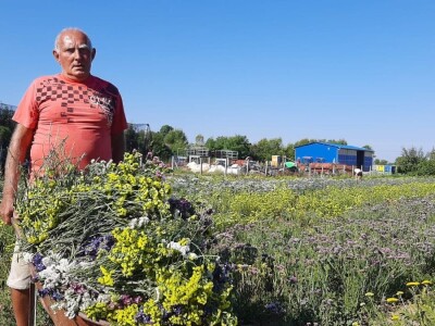 Radojevići od suvog cveća naprave na hiljade buketa, foto: M. Lazarević