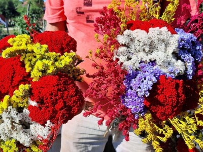 Radojevići od suvog cveća naprave na hiljade buketa, foto: M. Lazarević