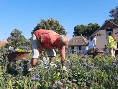 Radojevići od suvog cveća naprave na hiljade buketa, foto: M. Lazarević