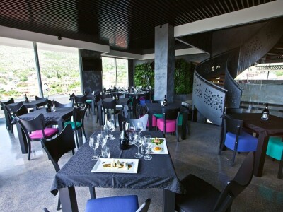 Radovan Vukoje: Oko 50 odsto zemlje pogodne za uzgoj vinove loze u Hercegovini neiskorišteno