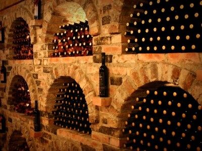 Radovan Vukoje: Oko 50 odsto zemlje pogodne za uzgoj vinove loze u Hercegovini neiskorišteno