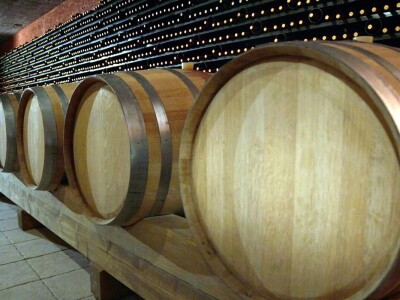 Radovan Vukoje: Oko 50 odsto zemlje pogodne za uzgoj vinove loze u Hercegovini neiskorišteno