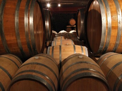 Radovan Vukoje: Oko 50 odsto zemlje pogodne za uzgoj vinove loze u Hercegovini neiskorišteno