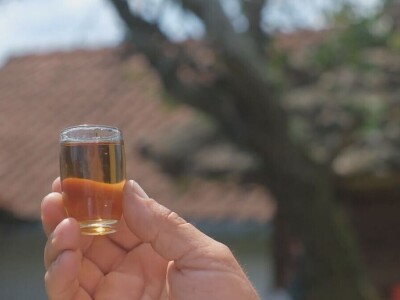 Rakija mora da "odleži"