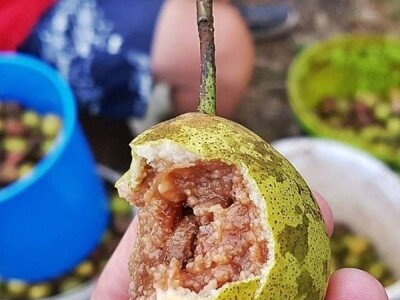 Rakija od kruške crnice Rakija od kruške crnice