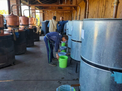 Rakije "Jedna" Dinka Romića