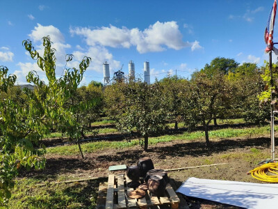 Rakije "Jedna" Dinka Romića