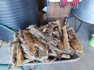 Rakije "Jedna" Dinka Romića