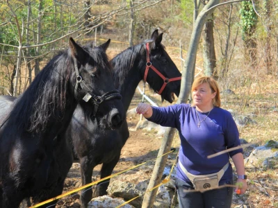 Ranč Anđeli
