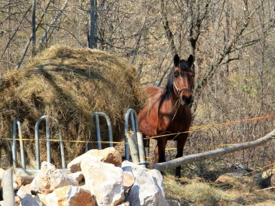 Ranč Anđeli
