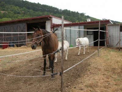 Ranč Majić-Zec u Brnazama