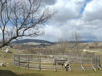 Ranč Miljacka Tomislavgrad Ranč Miljacka Tomislavgrad
