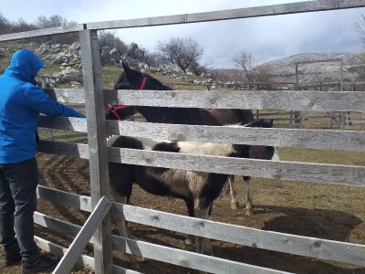 Ranč Miljacka Tomislavgrad Ranč Miljacka Tomislavgrad