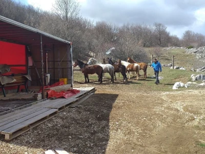Ranč Miljacka Tomislavgrad