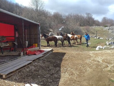 Ranč Miljacka Tomislavgrad Ranč Miljacka Tomislavgrad