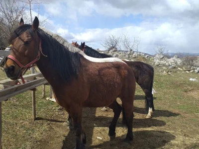 Ranč Miljacka Tomislavgrad