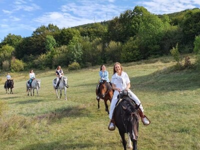 Ranč Miljacka Tomislavgrad Ranč Miljacka Tomislavgrad
