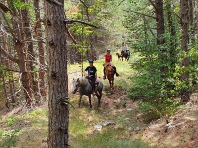 Ranč Miljacka Tomislavgrad Ranč Miljacka Tomislavgrad