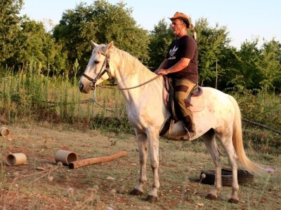Ranč "Nemir i Sjena"