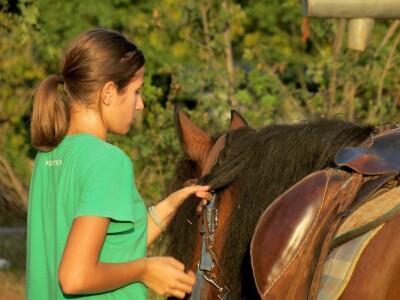 Ranč "Nemir i Sjena"