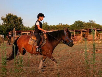Ranč "Nemir i Sjena"