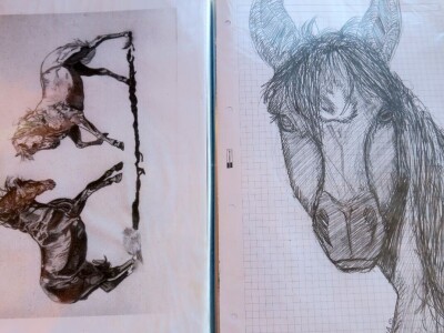 Ranč "Nemir i Sjena"