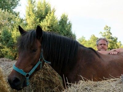Ranč "Nemir i Sjena"