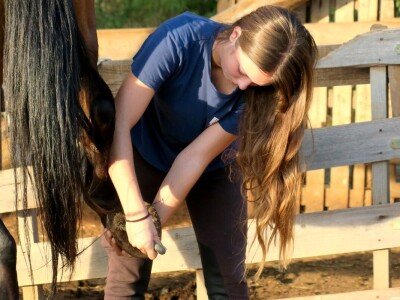 Ranč "Nemir i Sjena"