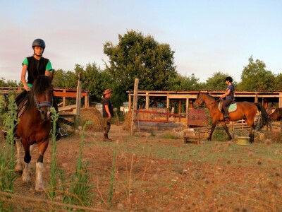 Ranč "Nemir i Sjena"