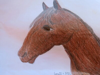 Ranč "Nemir i Sjena"