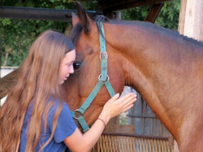 Ranč "Nemir i Sjena"