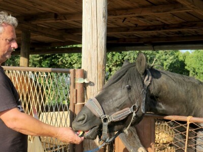 Ranč "Nemir i Sjena"
