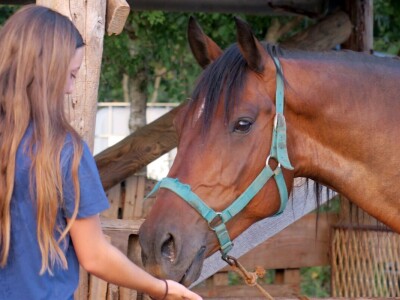 Ranč "Nemir i Sjena"