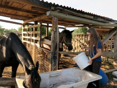 Ranč "Nemir i Sjena"