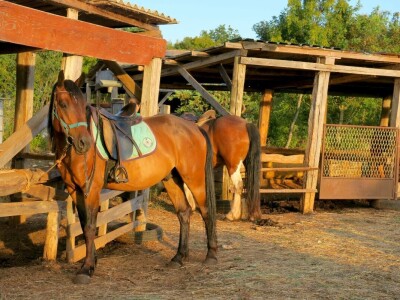 Ranč "Nemir i Sjena"