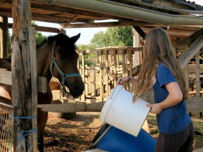Ranč "Nemir i Sjena"