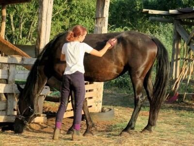 Ranč "Nemir i Sjena"