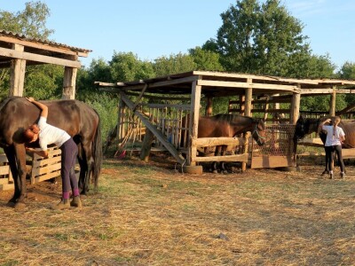 Ranč "Nemir i Sjena"