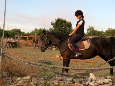 Ranč "Nemir i Sjena"