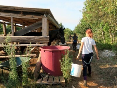 Ranč "Nemir i Sjena"