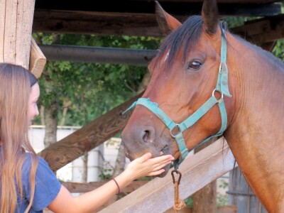 Ranč "Nemir i Sjena"