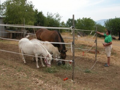 Motiv ranča Majić-Zec