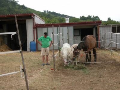 Detalj ranča Majić-Zec