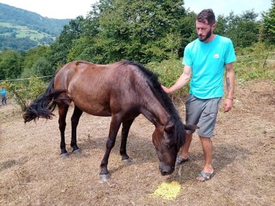 Ranč Pavlović u Volujcu