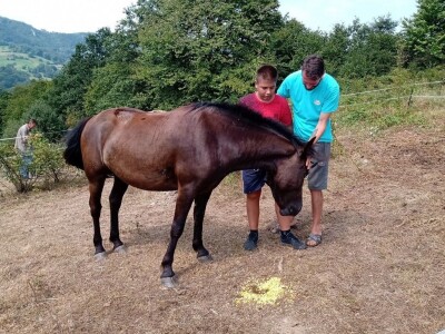 Ranč Pavlović u Volujcu