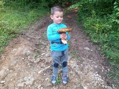 Ranč Pavlović u Volujcu