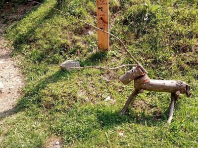 Ranč Pavlović u Volujcu