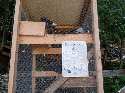 Ranč Pavlović u Volujcu