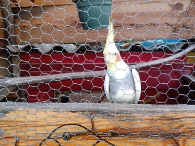 Ranč Pavlović u Volujcu